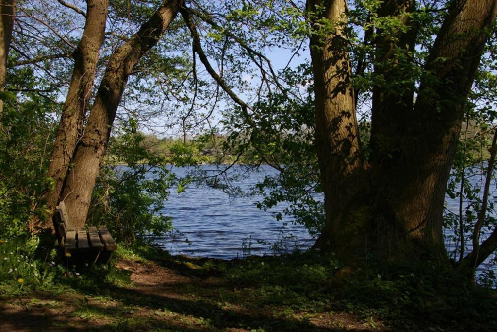 Fewo Am See 15A Klein Wittensee Kültér fotó