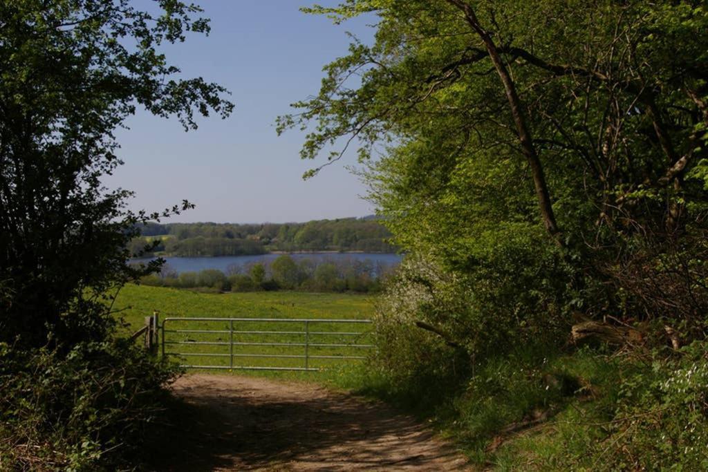Fewo Am See 15A Klein Wittensee Kültér fotó